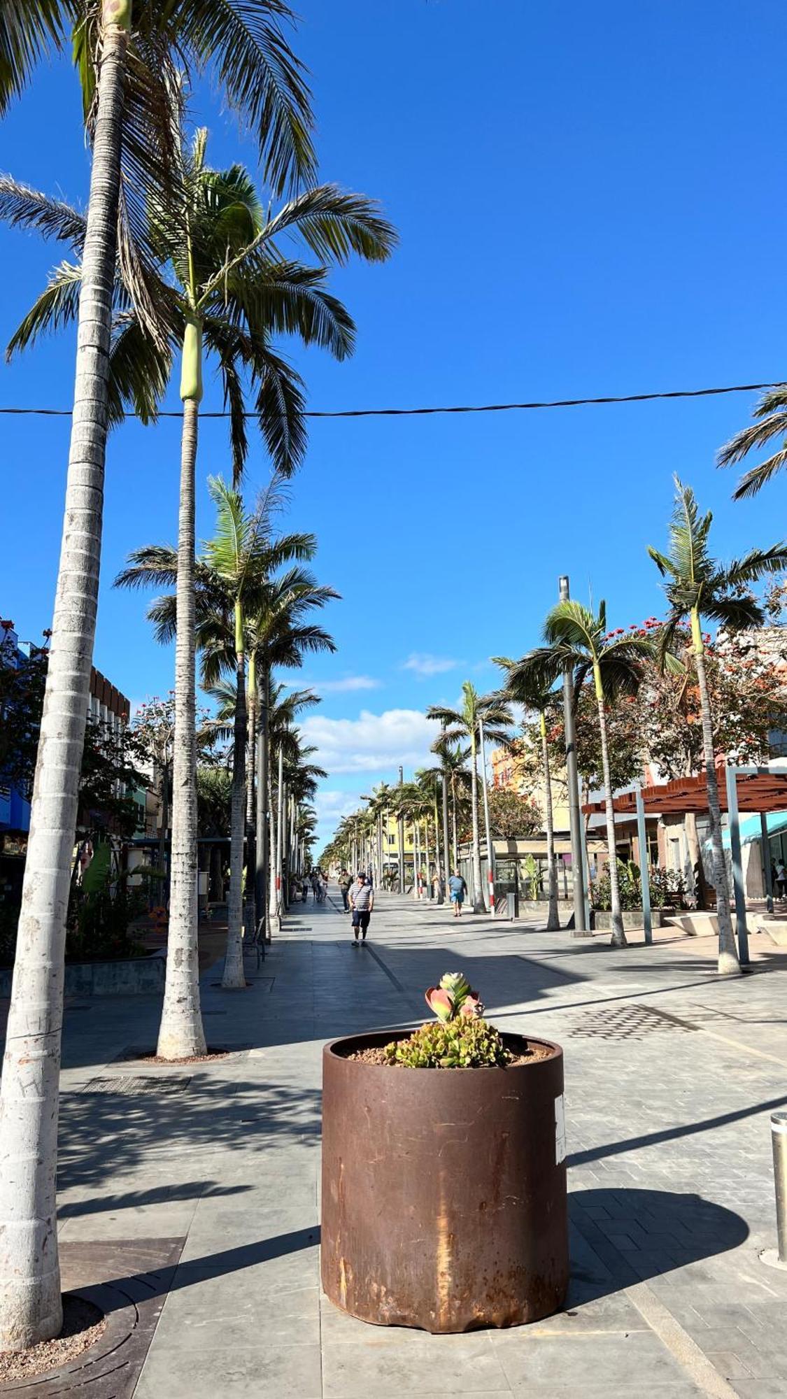 Mirame Canarias Vecindario (Gran Canaria) Exterior foto