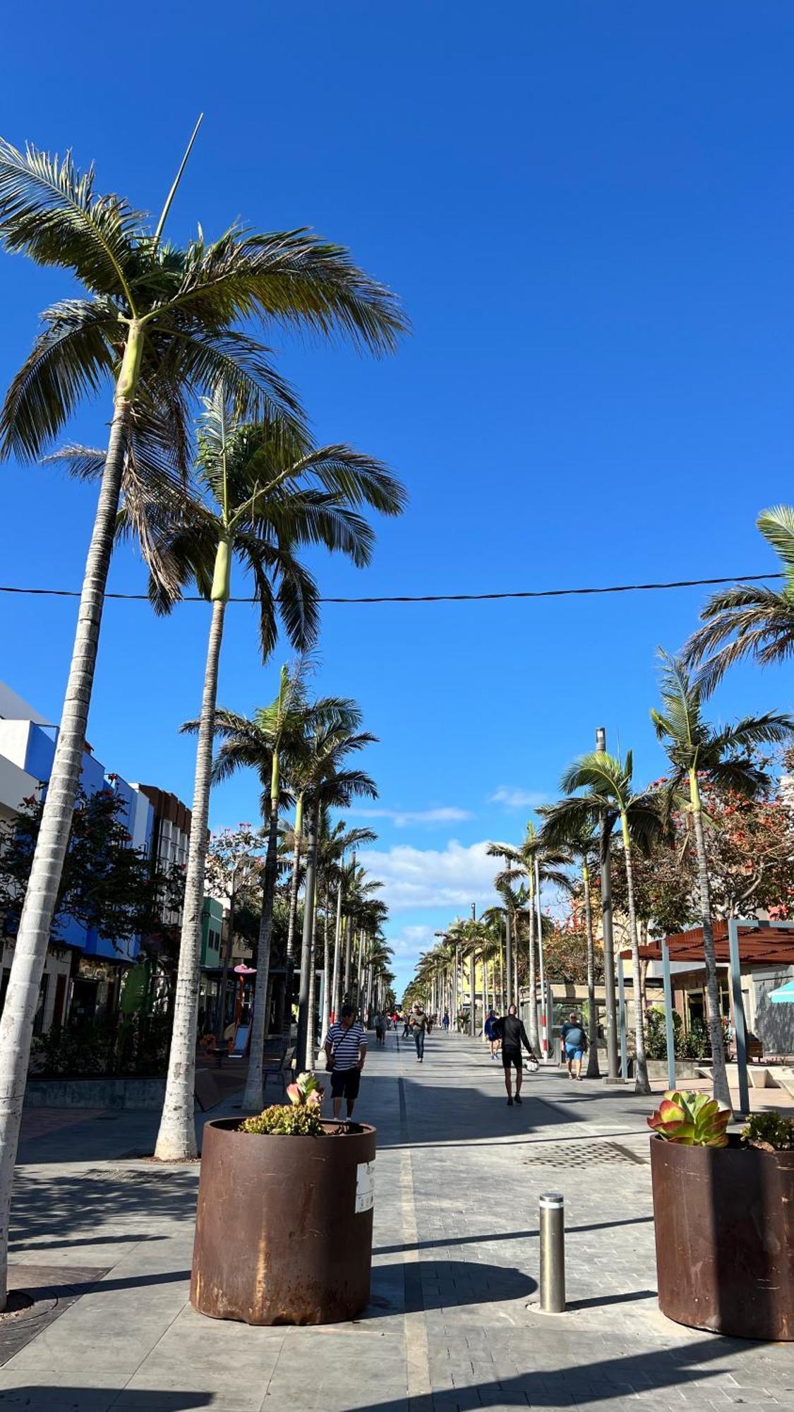 Mirame Canarias Vecindario (Gran Canaria) Exterior foto